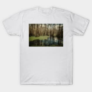 Swamp in Southeastern Georgia T-Shirt